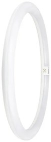 Tub LED fluorescent Osram G10q/24W/230V 6500K