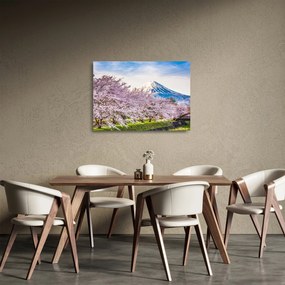 Tablou pe sticlă - Japonia în primăvară (70x50 cm)