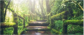 Tablou - trepte din lemn în pădure (120x50 cm)