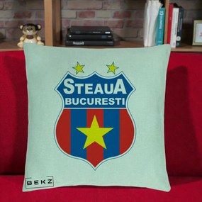 Perna Personalizata Steaua Bucuresti Fotbal, 40x40 cm, Verde Menta, Husa Detasabila, Perna Inclusa, BEKZ®