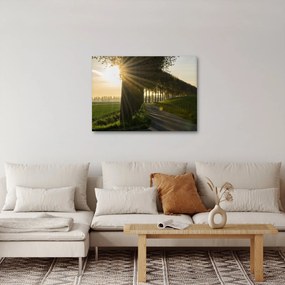 Tablou cu alee (70x50 cm)