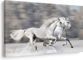 Tablou - Cai albi în timpul iernii (90x60 cm)