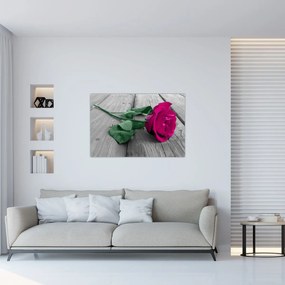 Tablou - Trandafir roz cu tulpina verde (90x60 cm)