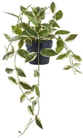 Plantă artificială (înălțime 33 cm) Hoya Carnosa – House Nordic