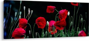 Tablou - Dansul macilor (120x50 cm)