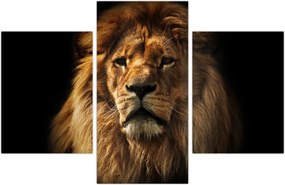 Tablou - Leu cu o coamă bogată (90x60 cm)