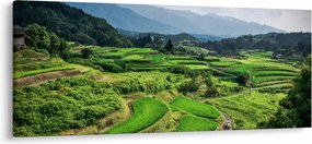 Tablou cu câmp de orez (120x50 cm)