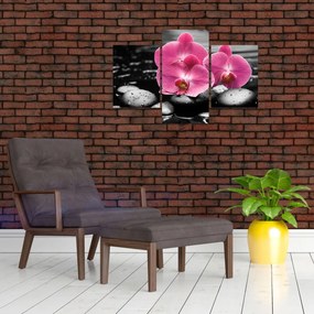Tablou - Orhidee roz (90x60 cm)