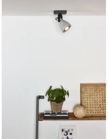 Spot LED dimabil CONCRI 1xGU10/5W/230V Lucide 05910/05/30