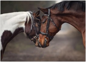 Tablou - Cai îndrăgostiți (70x50 cm)
