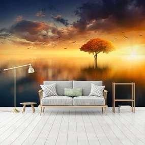 Fototapet - Apus de soare (254x184 cm)
