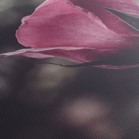 Tablou - Detaliu florii de trandafir (70x50 cm)