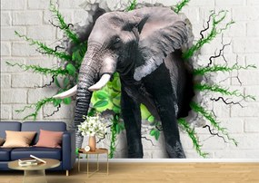 Tapet Premium Canvas - Elefantul din perete