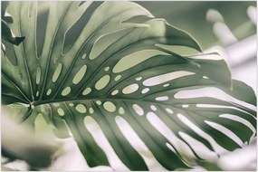 Tablou - Lista de monștri (90x60 cm)