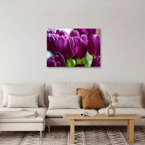 Tablou cu lalele (70x50 cm)