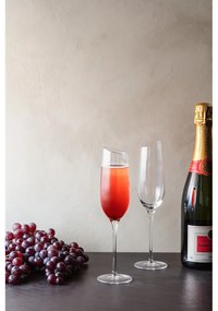 Pahar de șampanie Eva Solo, 200 ml