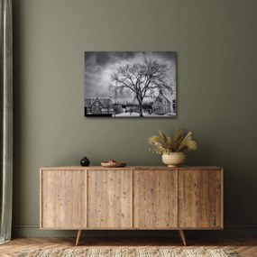 Tablou cu sat alb negru (70x50 cm)