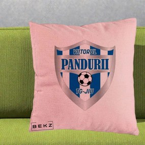 Perna Personalizata Pandurii Targu Jiu Fotbal, 40x40 cm, Roz, Husa Detasabila, Perna Inclusa, BEKZ®