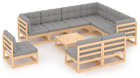 3076839 vidaXL Set mobilier grădină cu perne, 10 piese, lemn masiv de pin