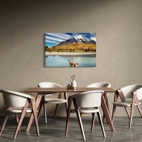 Tablou - Parcul Național Torres del Paine (90x60 cm)