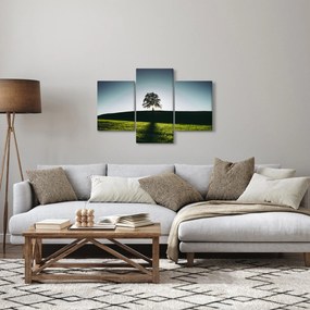 Tablou cu natura - copac (90x60 cm)