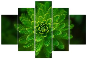 Tablou cu coniferi (150x105 cm)