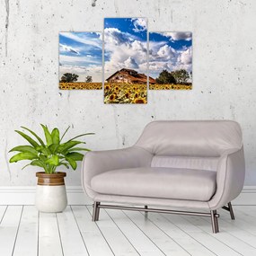 Tablou cu câmp de floarea soarelui (90x60 cm)