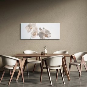 Tablou cu orhidee albă (120x50 cm)
