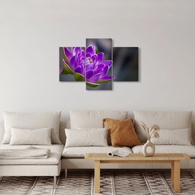 Tablou floarei (90x60 cm)