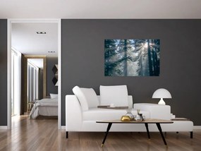 Tablou cu copaci și soarele translucind (90x60 cm)