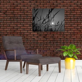 Tablou pe sticlă - Pajiște cu apus de soare (70x50 cm)