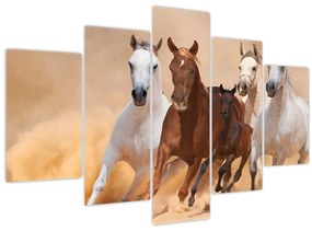 Tablou - Herghelie de cai (150x105 cm)