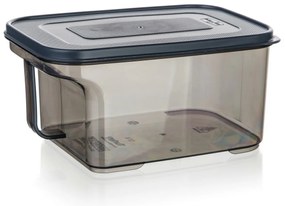Banquet Cutie de depozitare cu mâner ZOYA 1,7 l,fumurie, 1,7 l