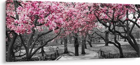 Tablou copacului magnolie (120x50 cm)