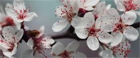 Tablou cu floare - roșie (120x50 cm)