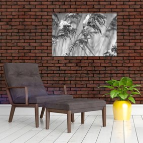 Tablou - Tei,alb-negru (90x60 cm)