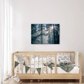 Tablou cu copaci și soarele translucind (70x50 cm)