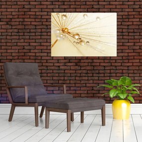 Tablou - Fotografie macro de păpădie (90x60 cm)