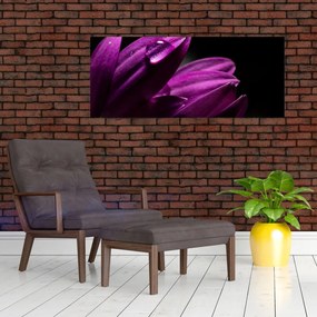 Tablou - Picătura de apă (120x50 cm)
