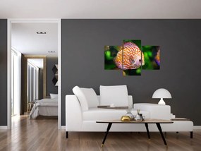 Tablou cu pește (90x60 cm)