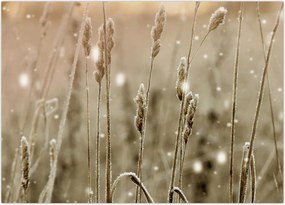 Tablou - Pajiște armonioasă (70x50 cm)
