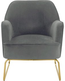 Fotoliu gri cu tapițerie din catifea Joshua - Støraa