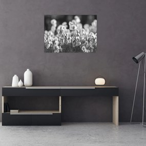 Tablou pe sticlă - Pajiște de vară (70x50 cm)