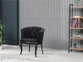 Set fotoliu Milano,negru, picioare negre, Homs