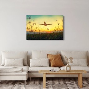 Tablou cu avion zburând (90x60 cm)