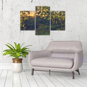 Tablou - Podgorii (90x60 cm)