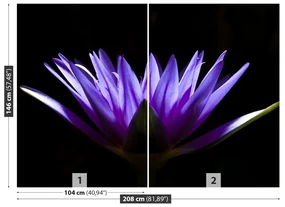 Fototapet Purple Lotus