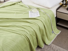 Pilota de vara racoritoare CELIA, verde Dimensiune: 140 x 200 cm