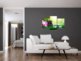 Tablou cu pietre pentru masaj și orhidee (90x60 cm)