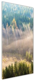 Tablou pe acril Ceață peste pădure